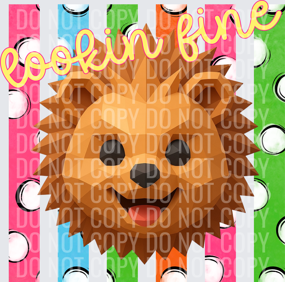 LOOKIN FINE PORCUPINE