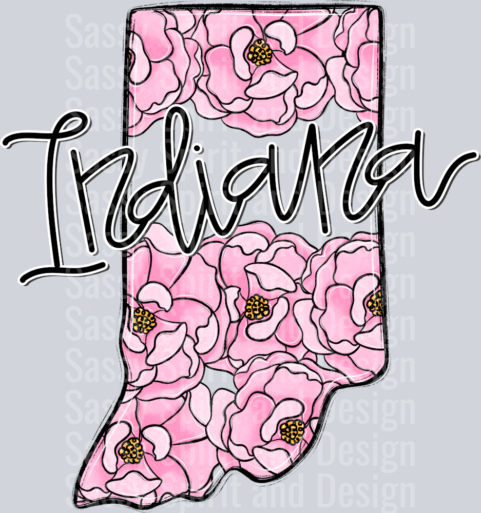 INDIANA WHIMSY STATES