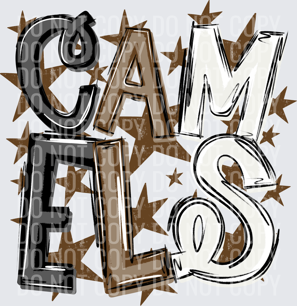 CAM-ELS