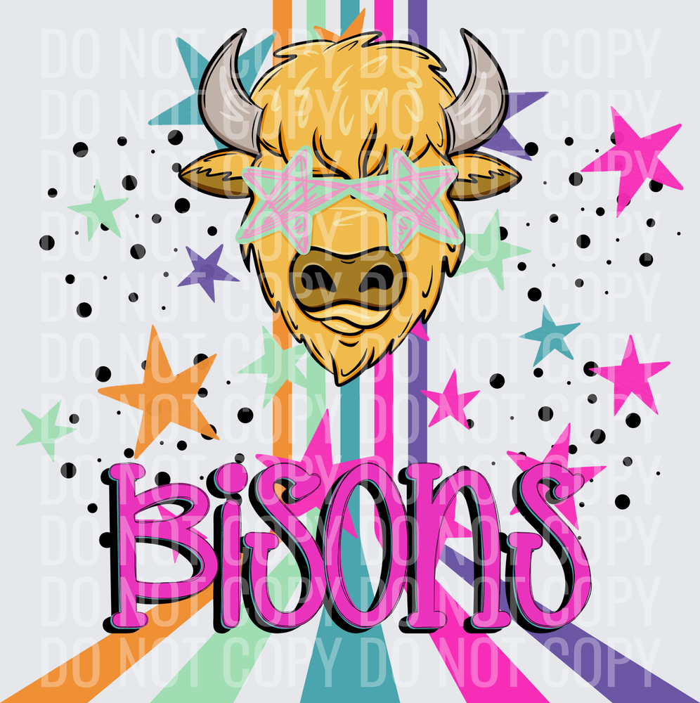 BISONS