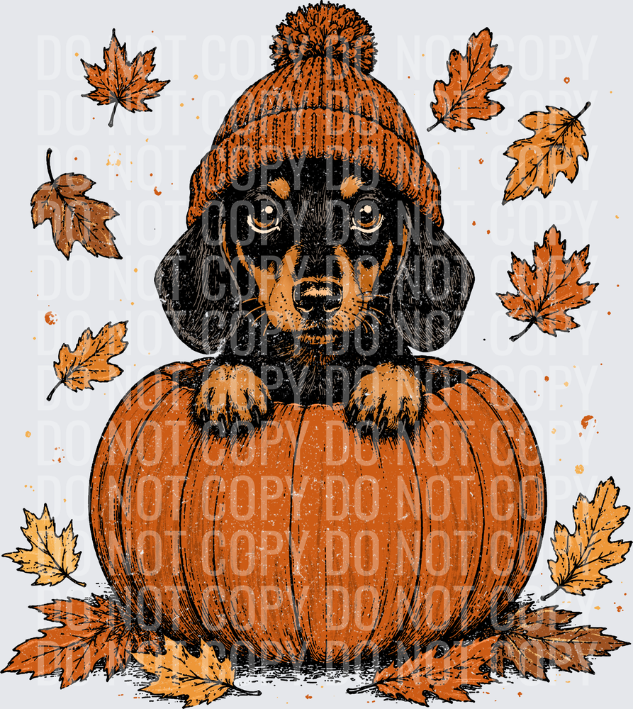 Weenie Dog Pumpkin Peeker(1)