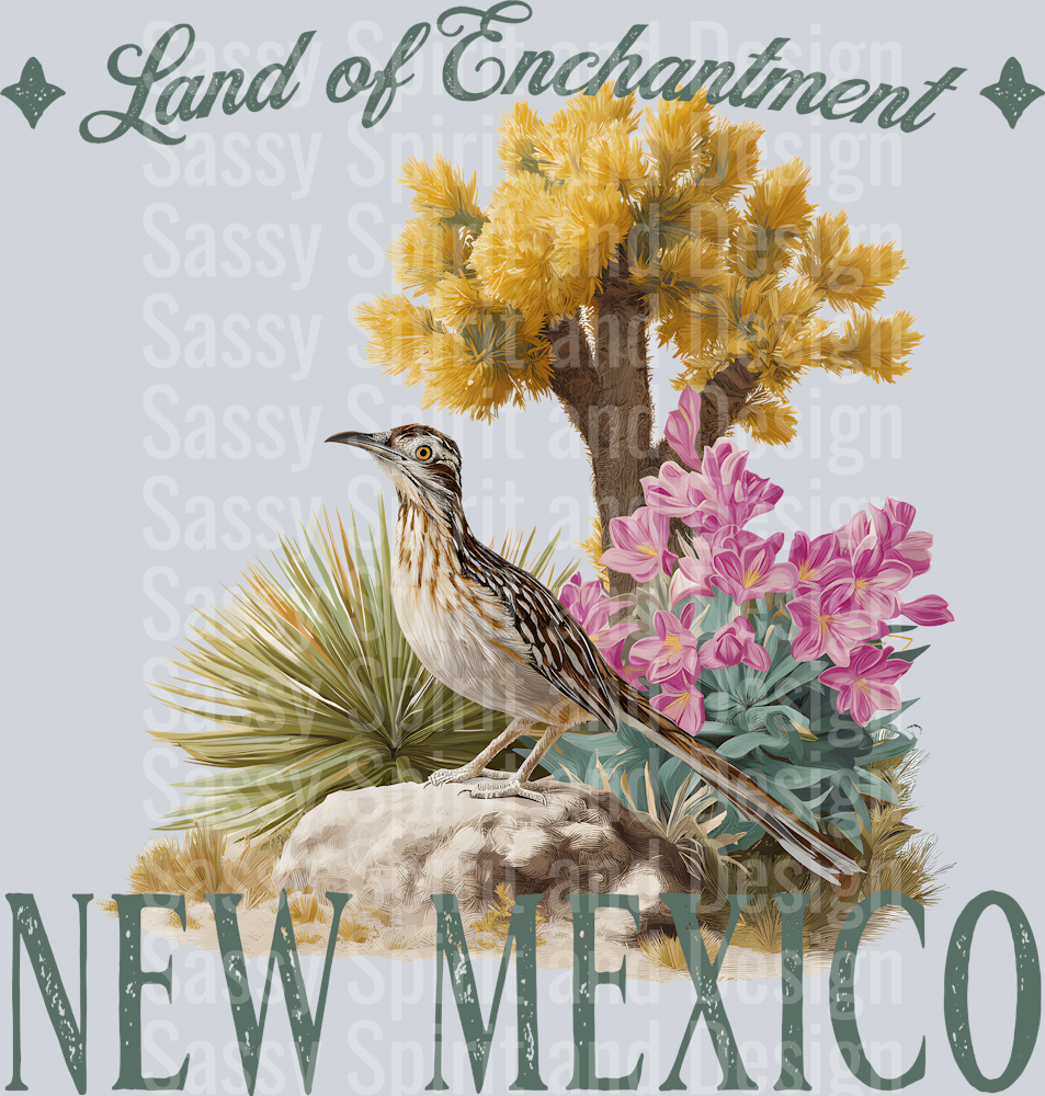 VINTAGE STATES NEW MEXICO