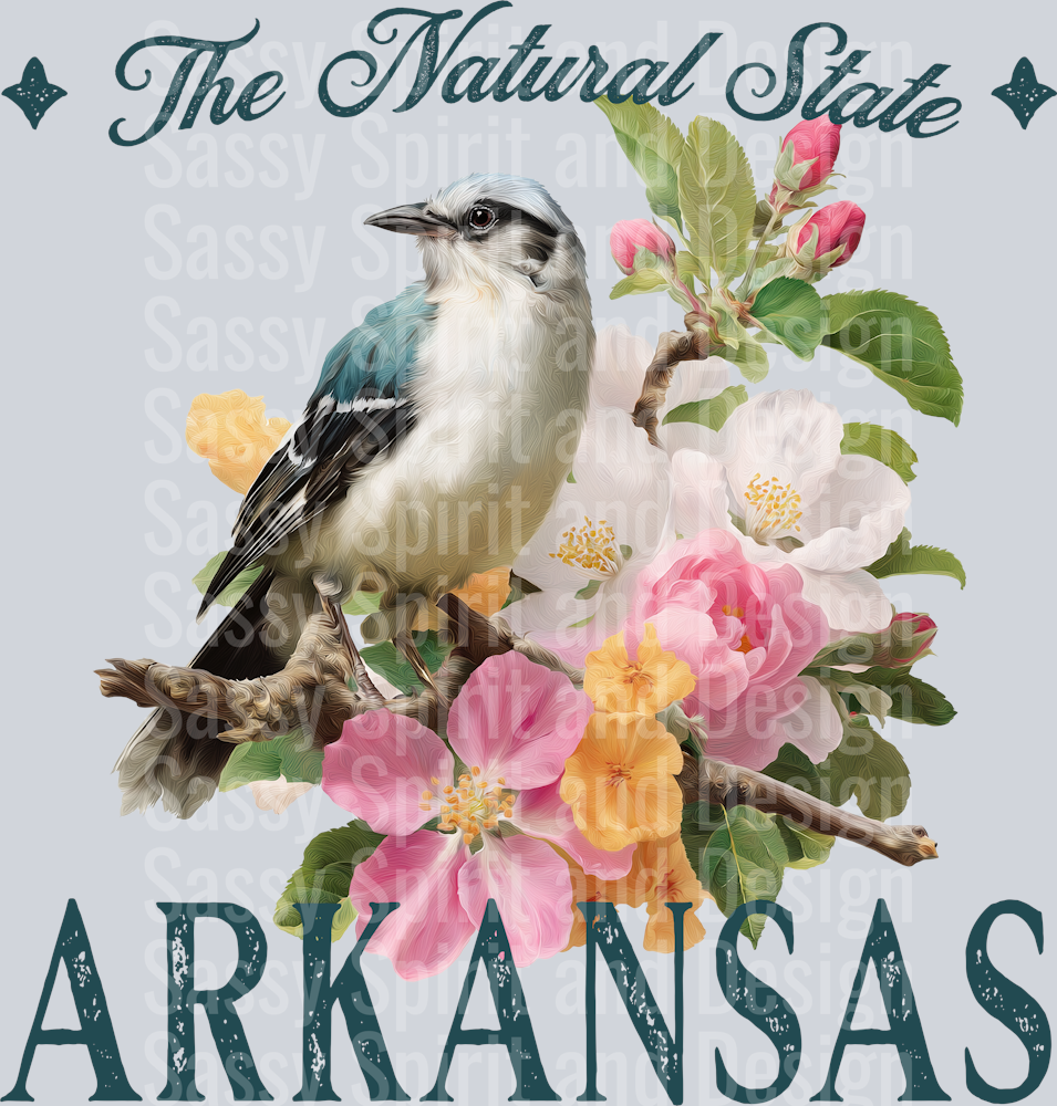 VINTAGE STATES ARKANSAS