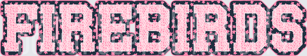 KayndiDesigns 08.26 Varsity Stars Firebirds