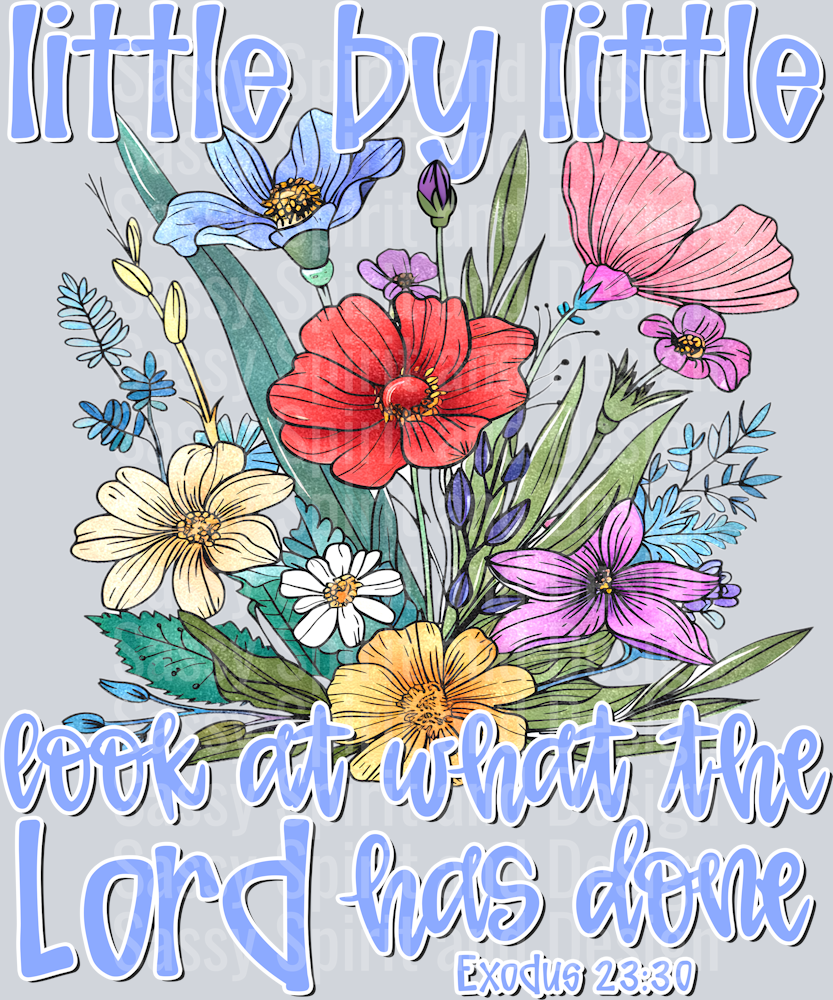 LITTLE BY LITTLE LOOK AT WHAT THE LORD HAS DONE