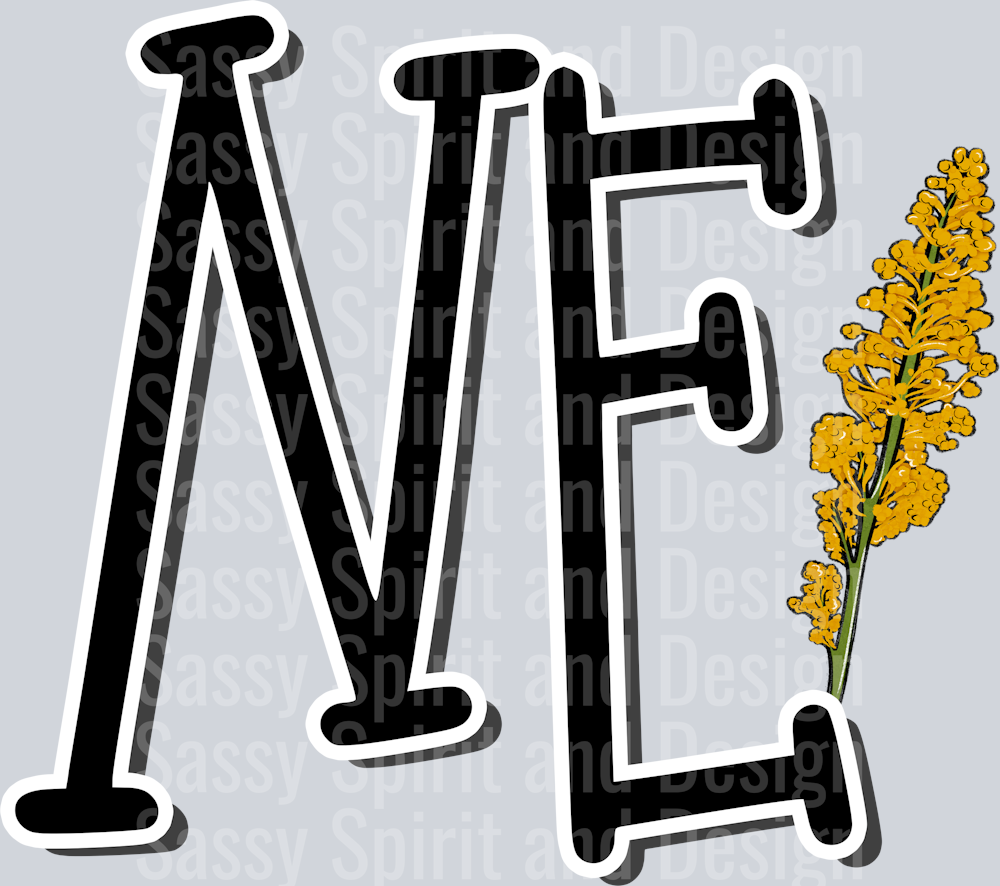 NEBRASKA Whimsy Pockets