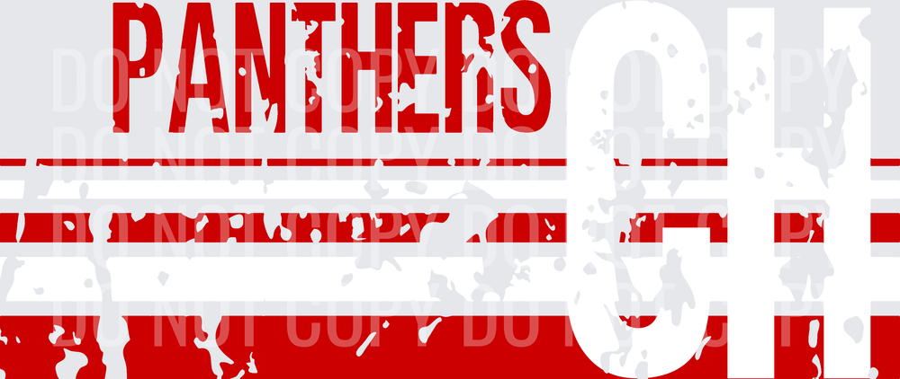 CH PANTHERS