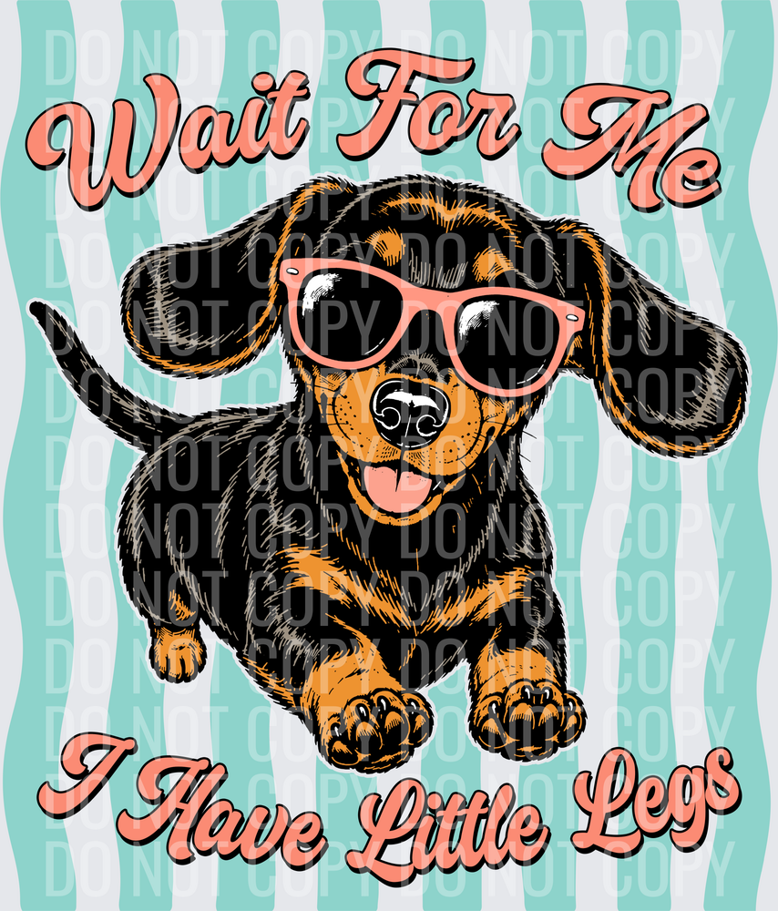 Wait For Me I Have Little Legs