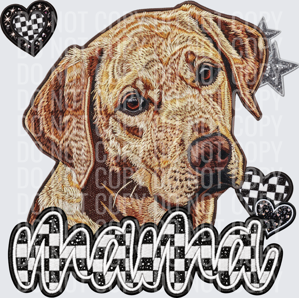 Golden Lab