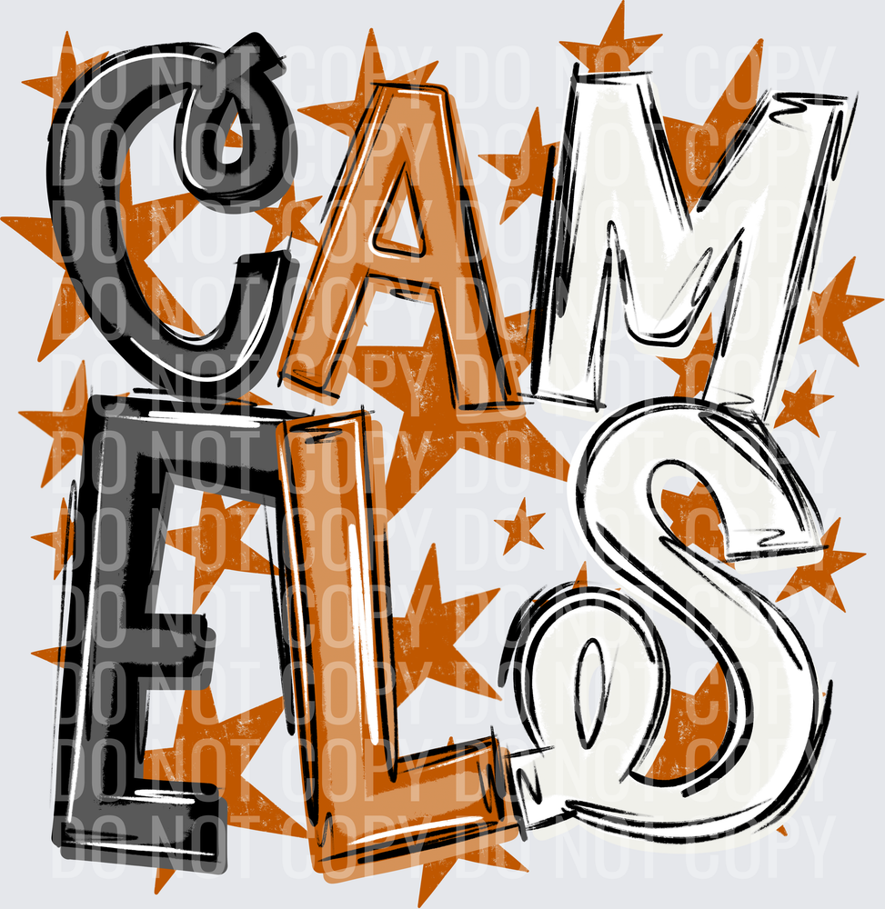 CAM-ELS