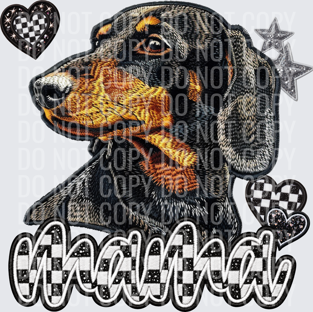 Shorthaired Dashchund_