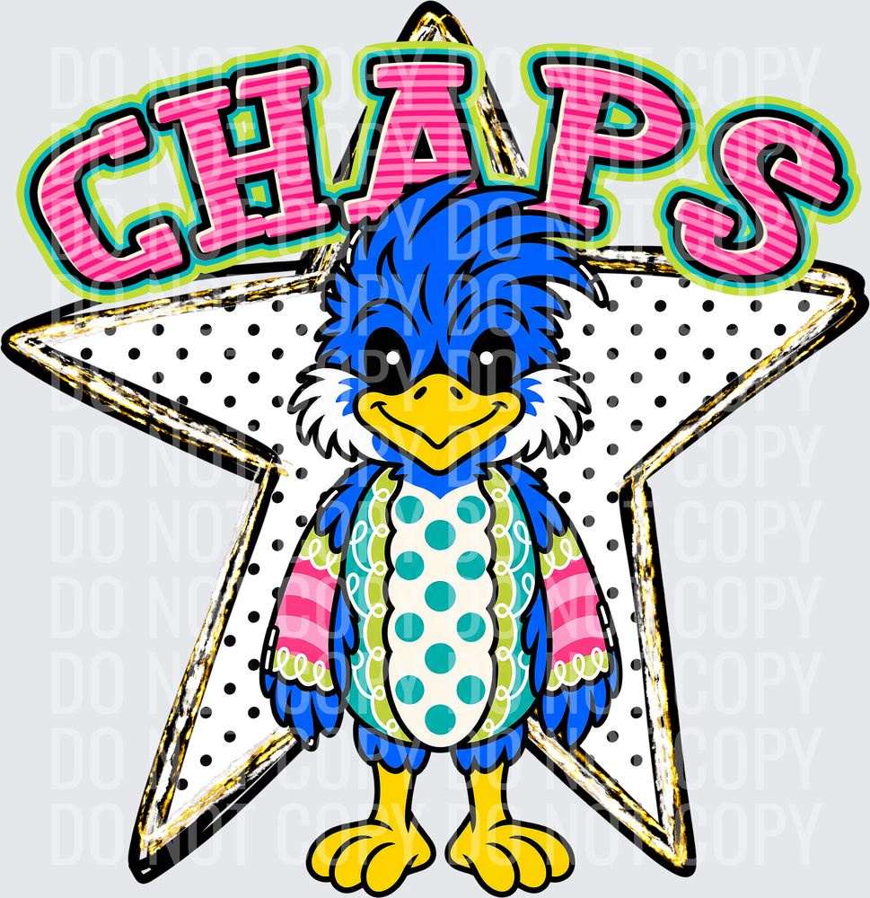 KayndiDesigns 10.26 Pattern Parade Star Chaps