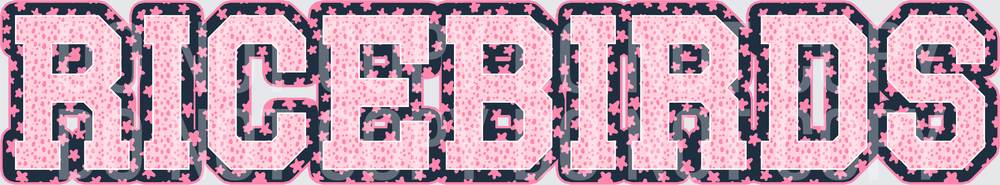 KayndiDesigns 08.26 Varsity Stars Ricebirds