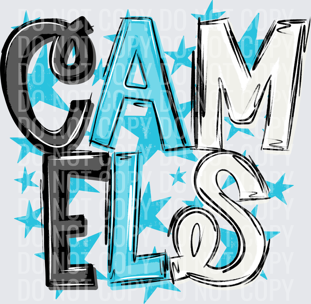 CAM-ELS