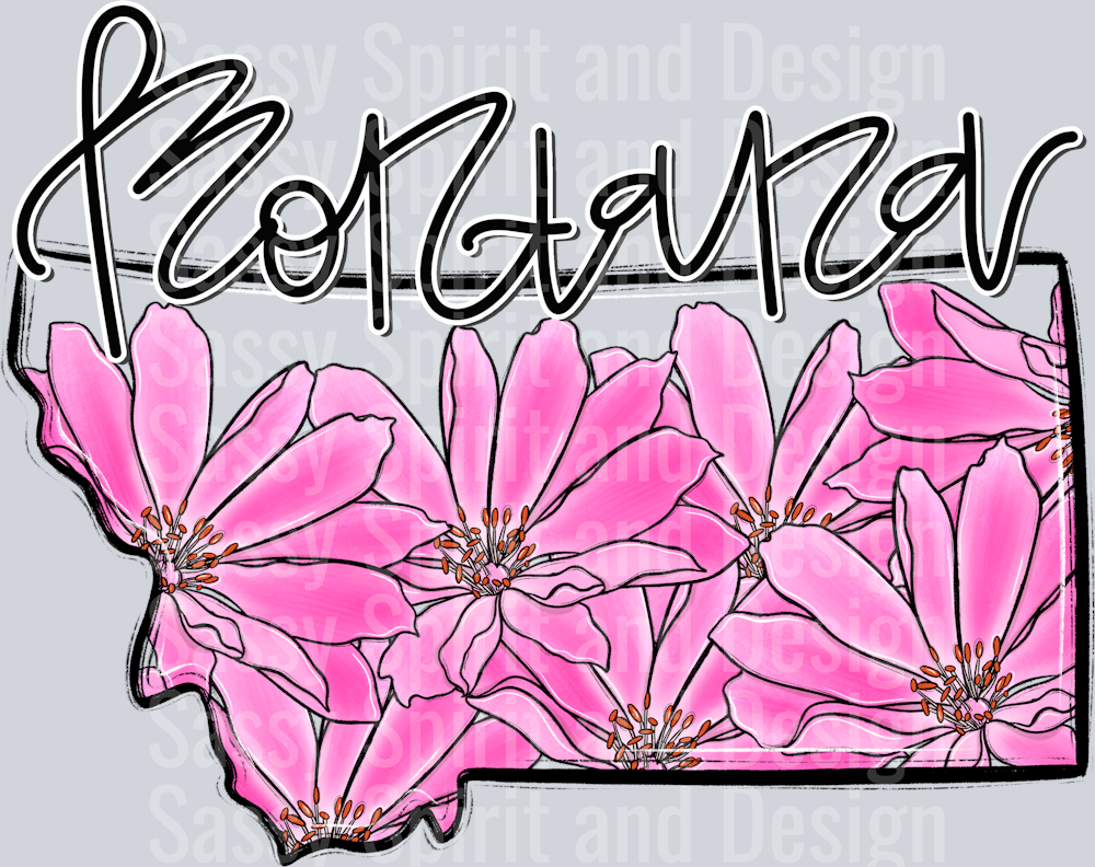 MONTANA WHIMSY STATES