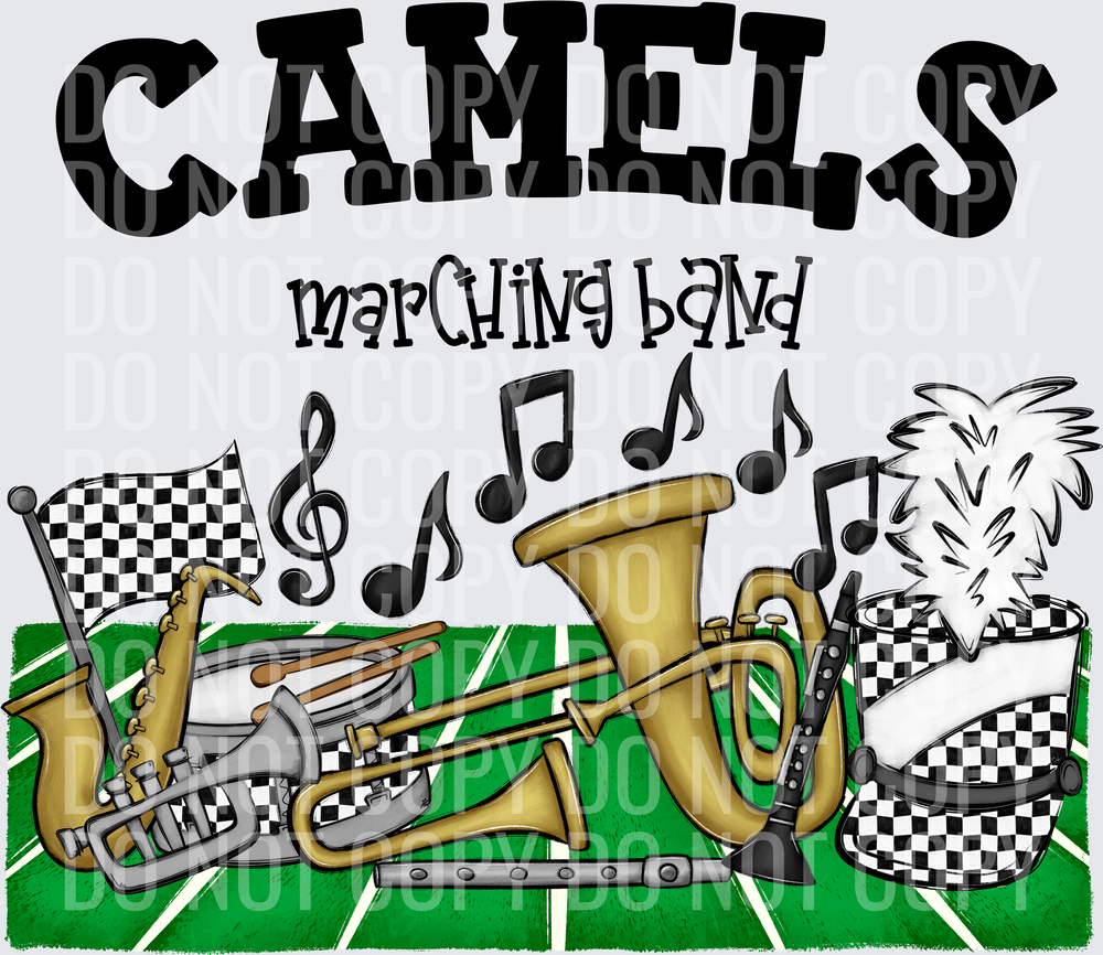 camels