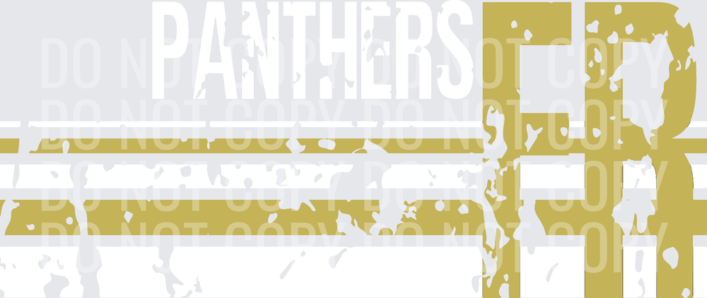FR PANTHERS