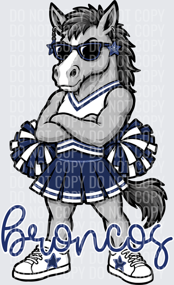Broncos cheer navy