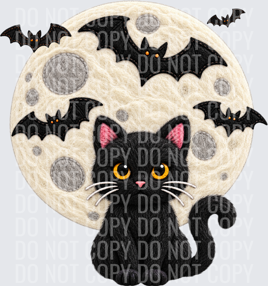 MIDNIGHT CAT