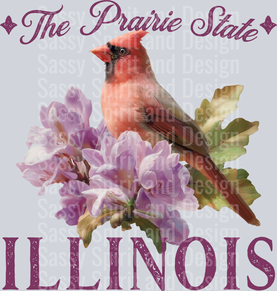 VINTAGE STATES ILLINOIS