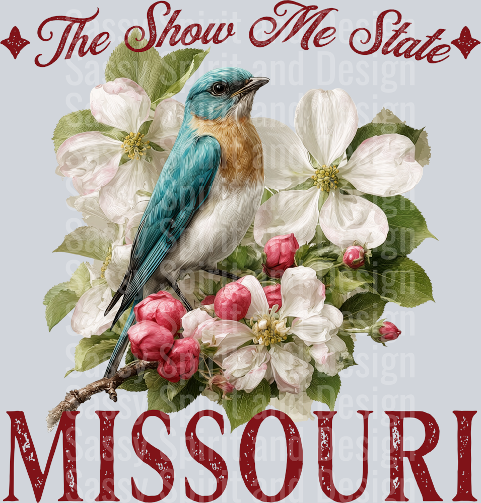 VINTAGE STATES MISSOURI