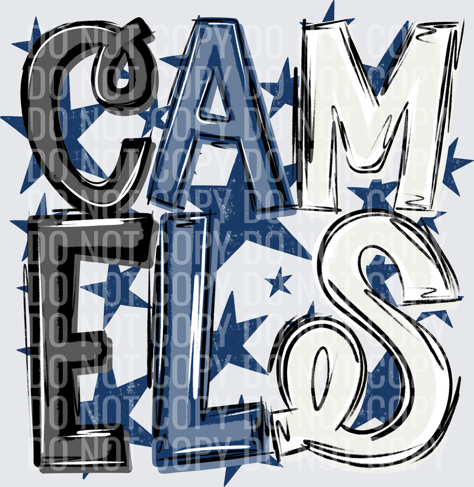 CAM-ELS