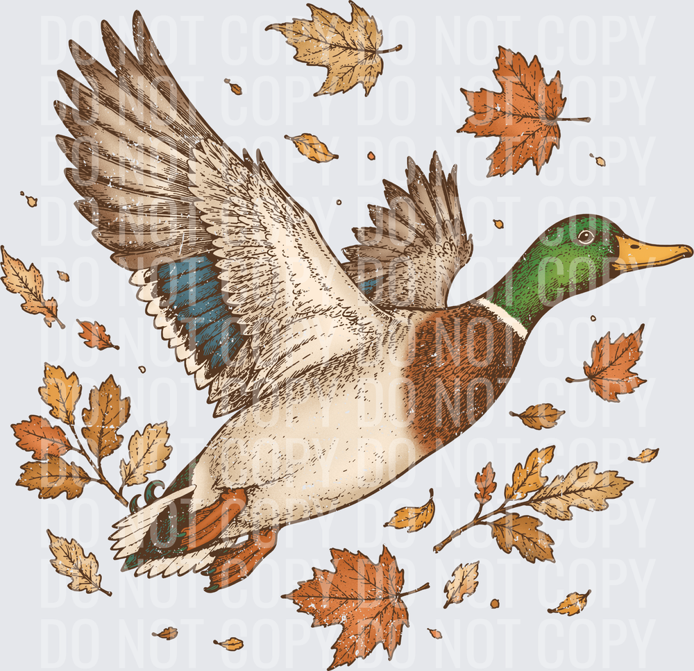 Fall Flying Mallard