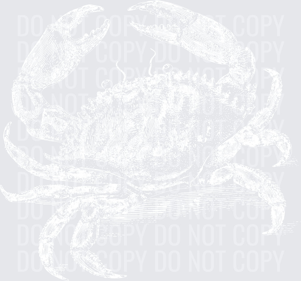 CRAB SKETCH