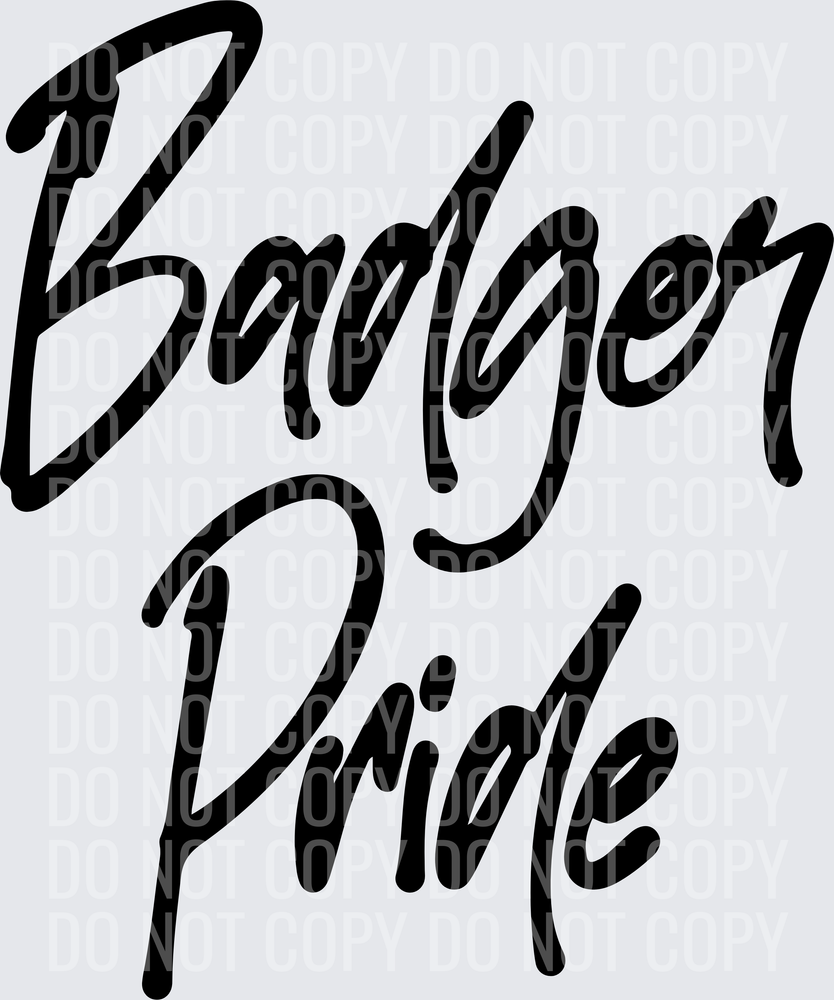 BadgerPride1