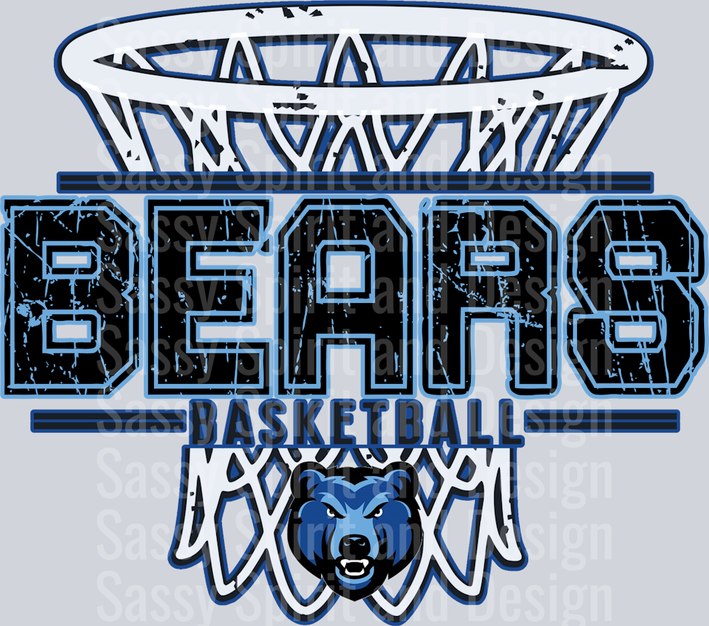 DISTRESSED BASKETBALL NET BREWER BEARS