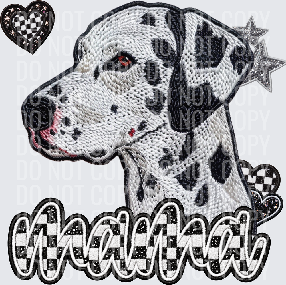 Dalmation