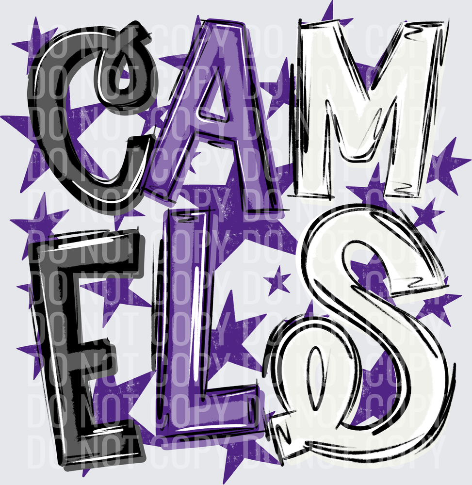 CAM-ELS