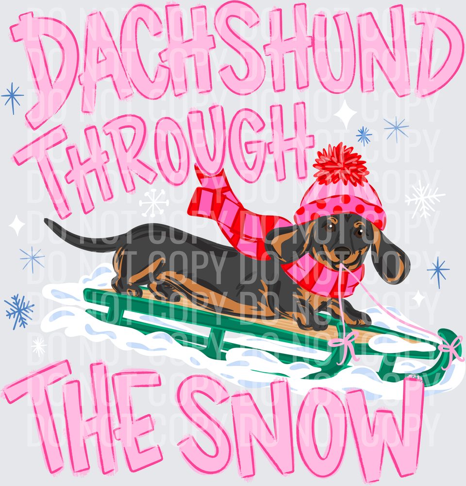 Dachshund snow