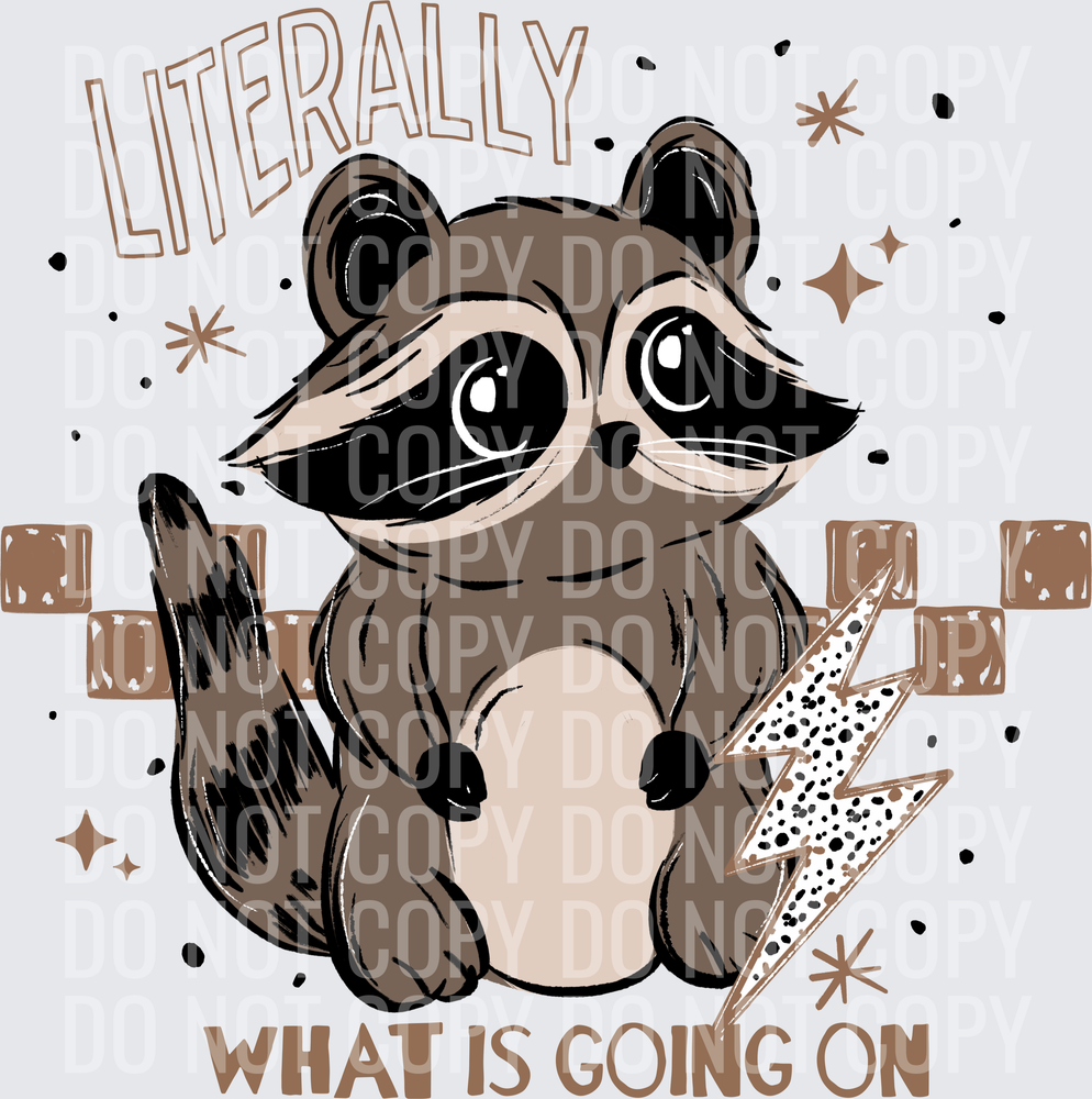 What_Is_Going_On_Raccoon_Brown_