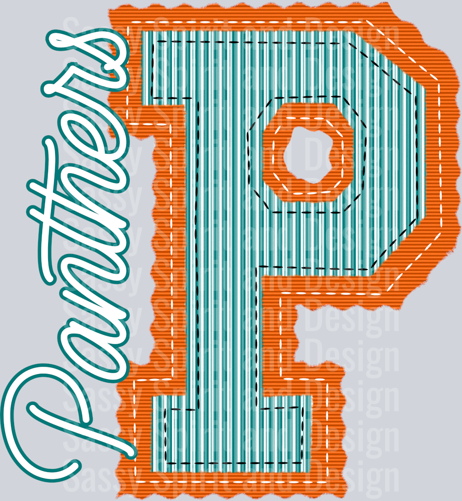 PANTHERS ORANGE TEAL SEERSUCKER