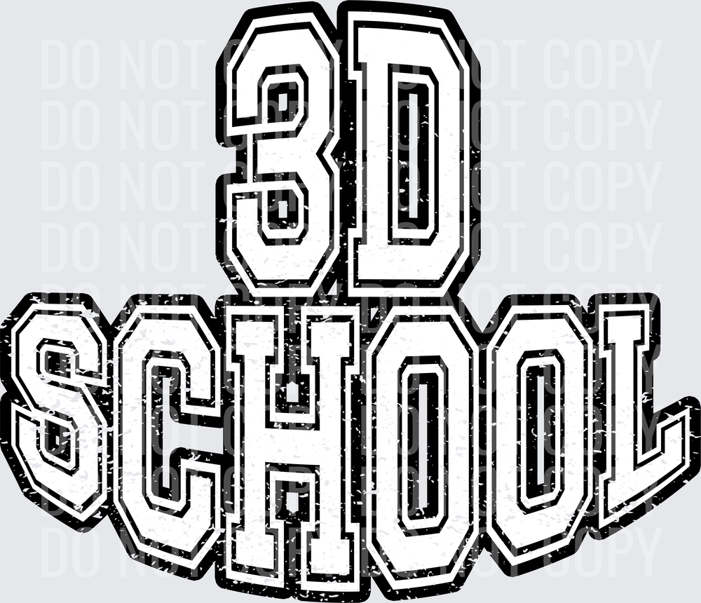 3d school