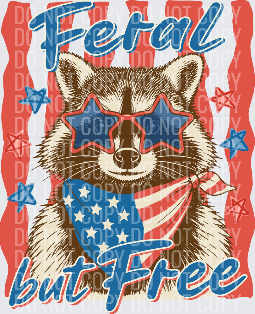 Feral but Free Raccoon