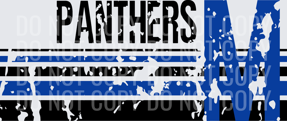 M PANTHERS