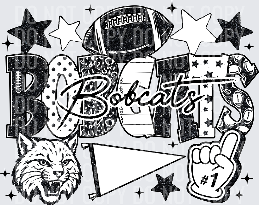 Bobcats blank