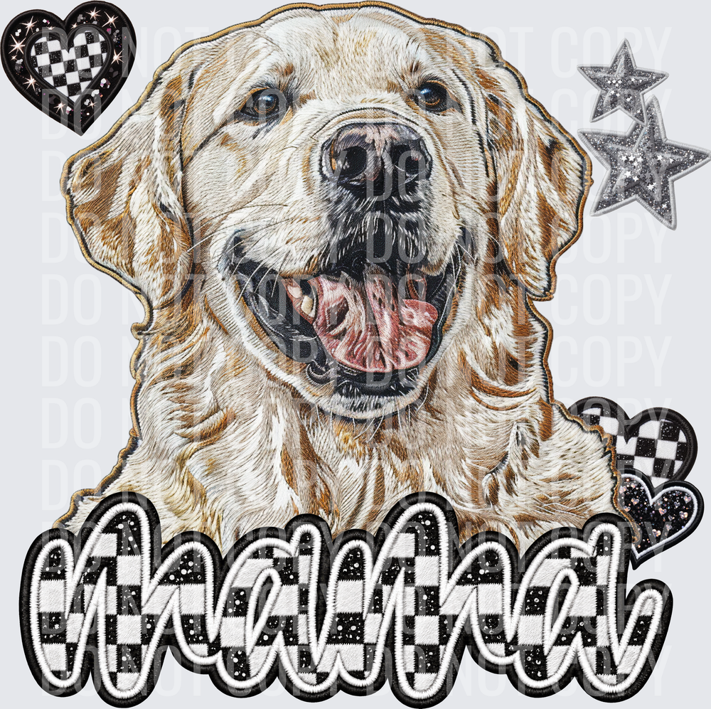 English Cream Golden Retriever