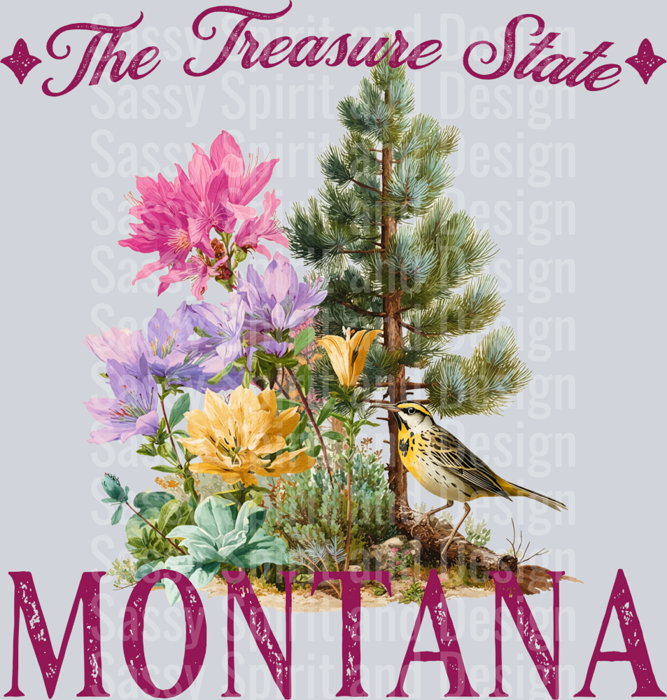 VINTAGE STATES MONTANA