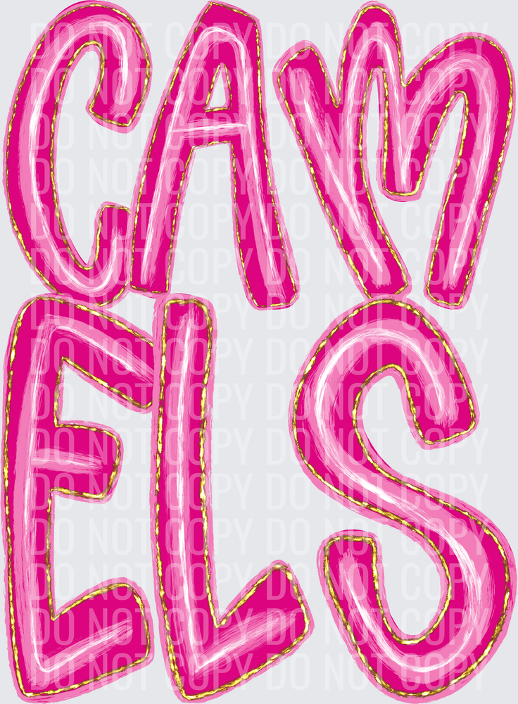 CAM-ELS