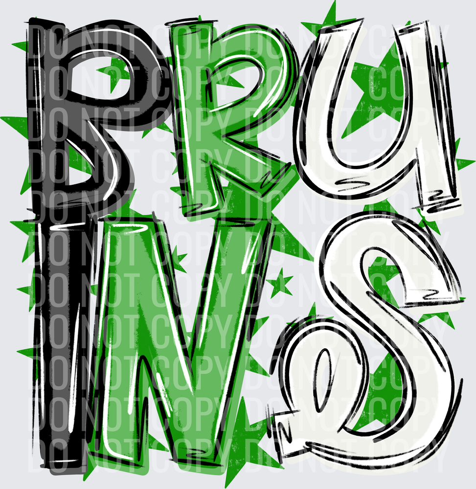 BRU-INS