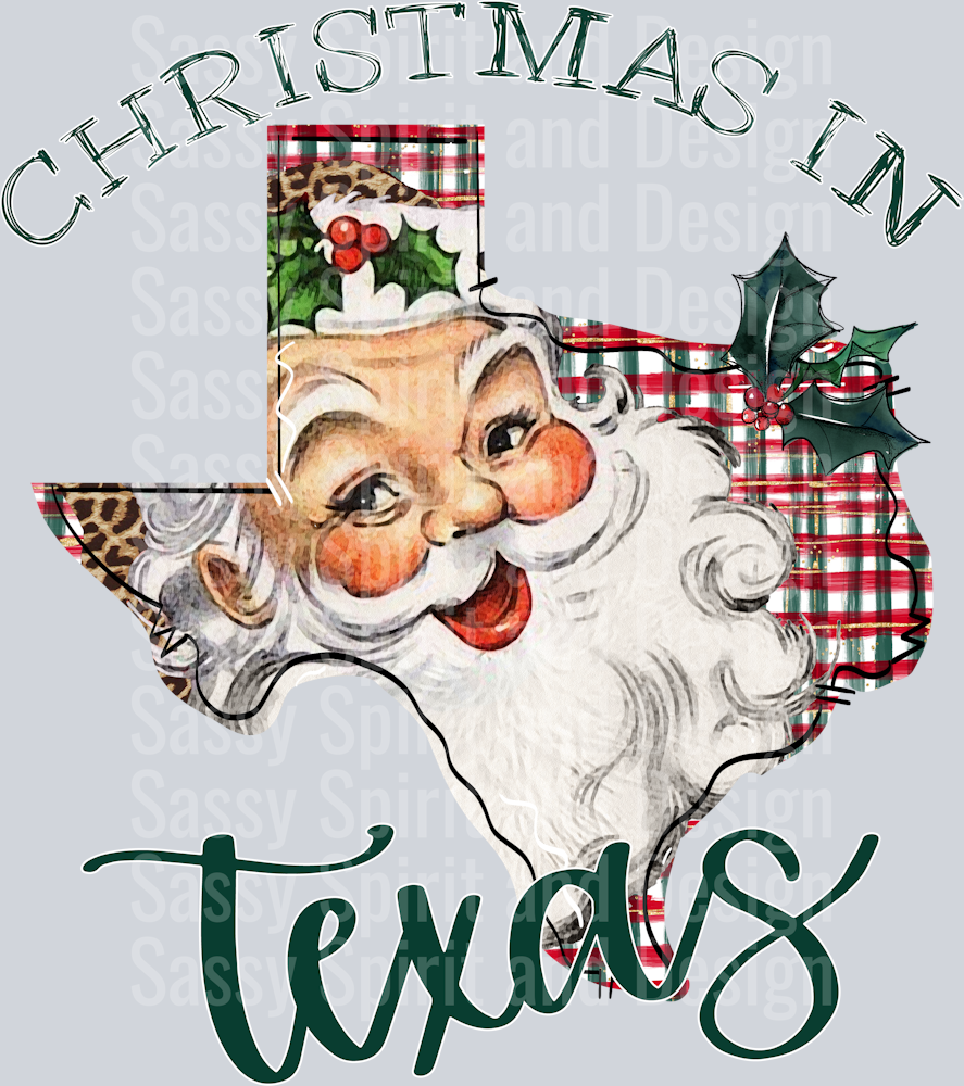 Christmas in State Santa State Set TEXAS