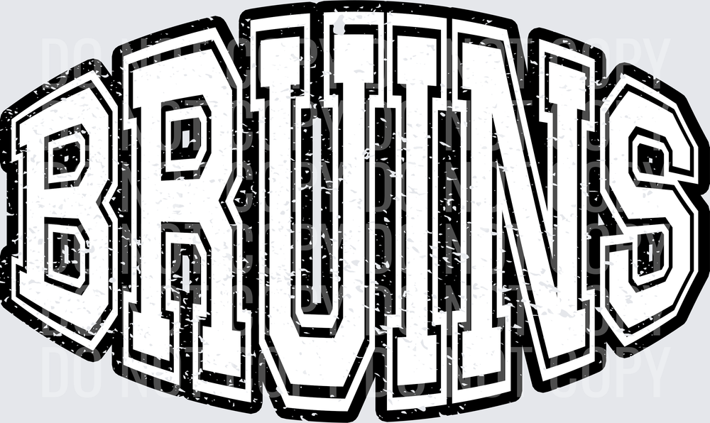 bruins