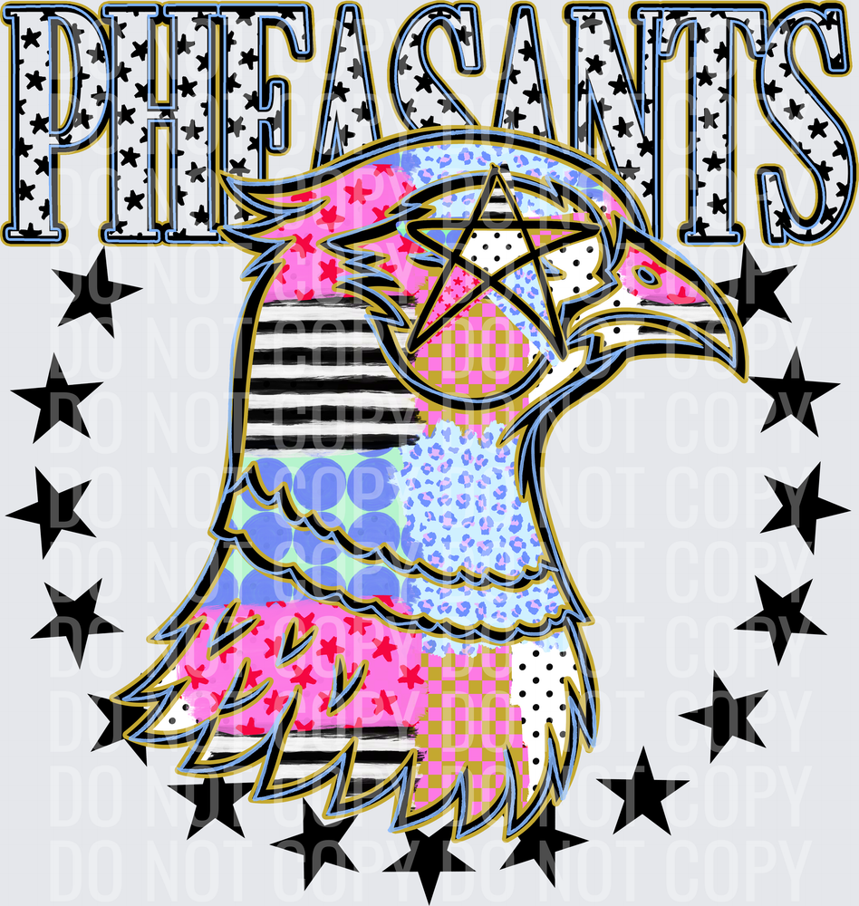 KayndiDesigns 09.26 Patchwork Varisty Stars Pheasants