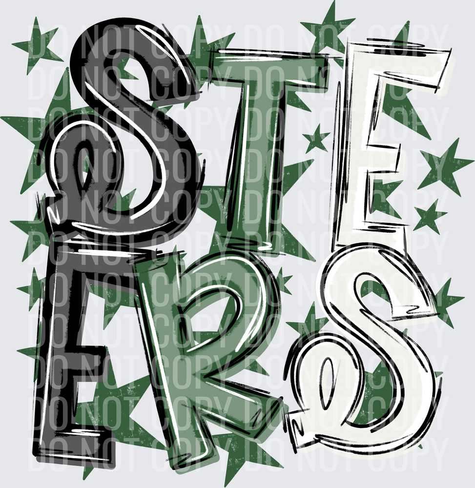 STE-ERS