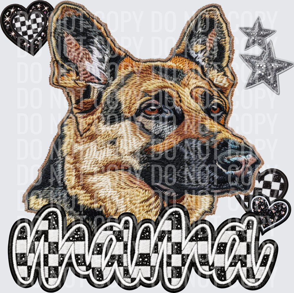 German Shephard_