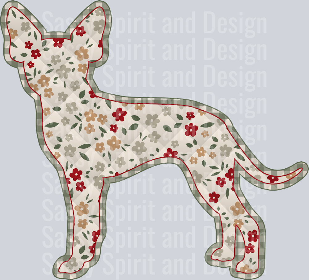 Toy Terrier Short Hair