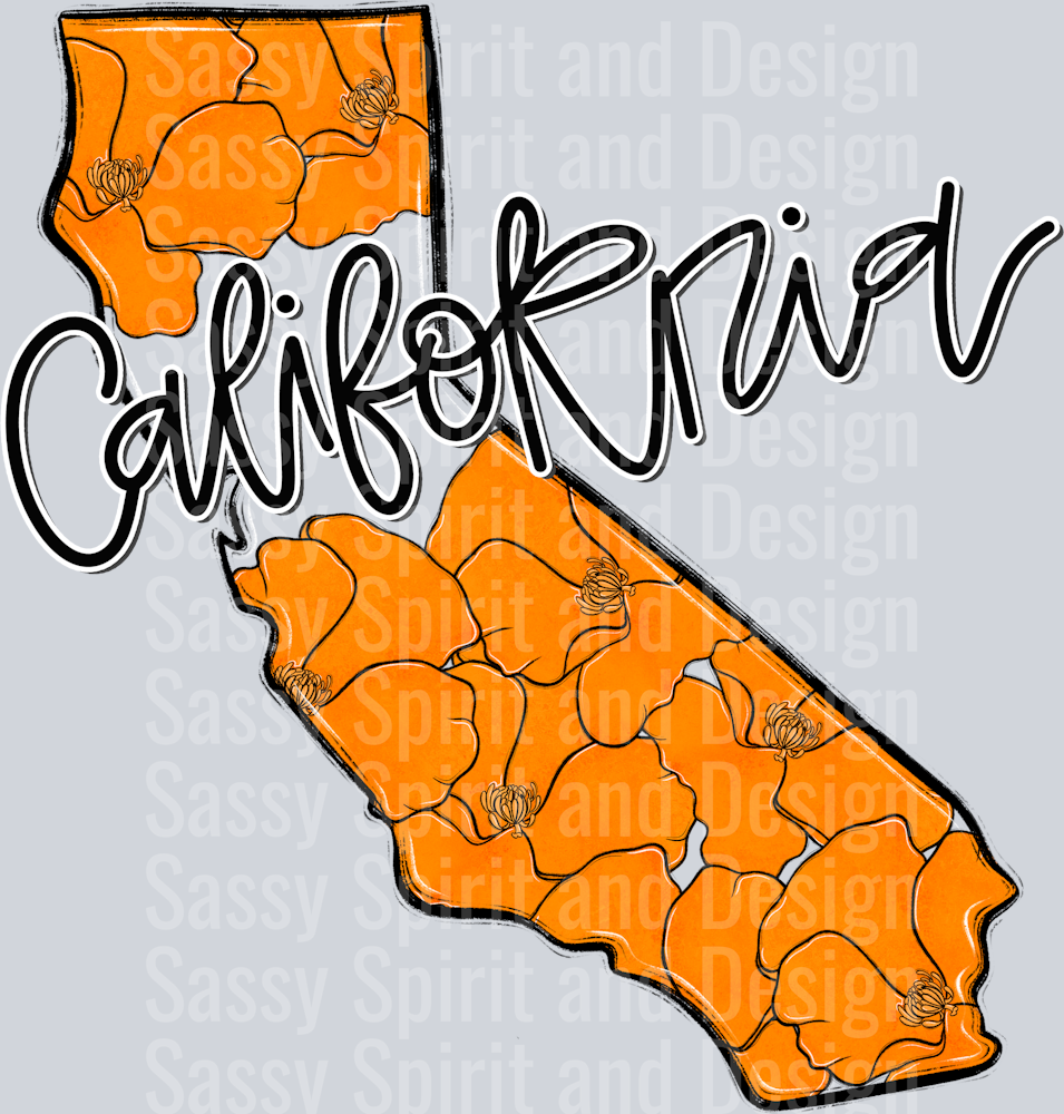 CALIFORNIA WHIMSY STATES